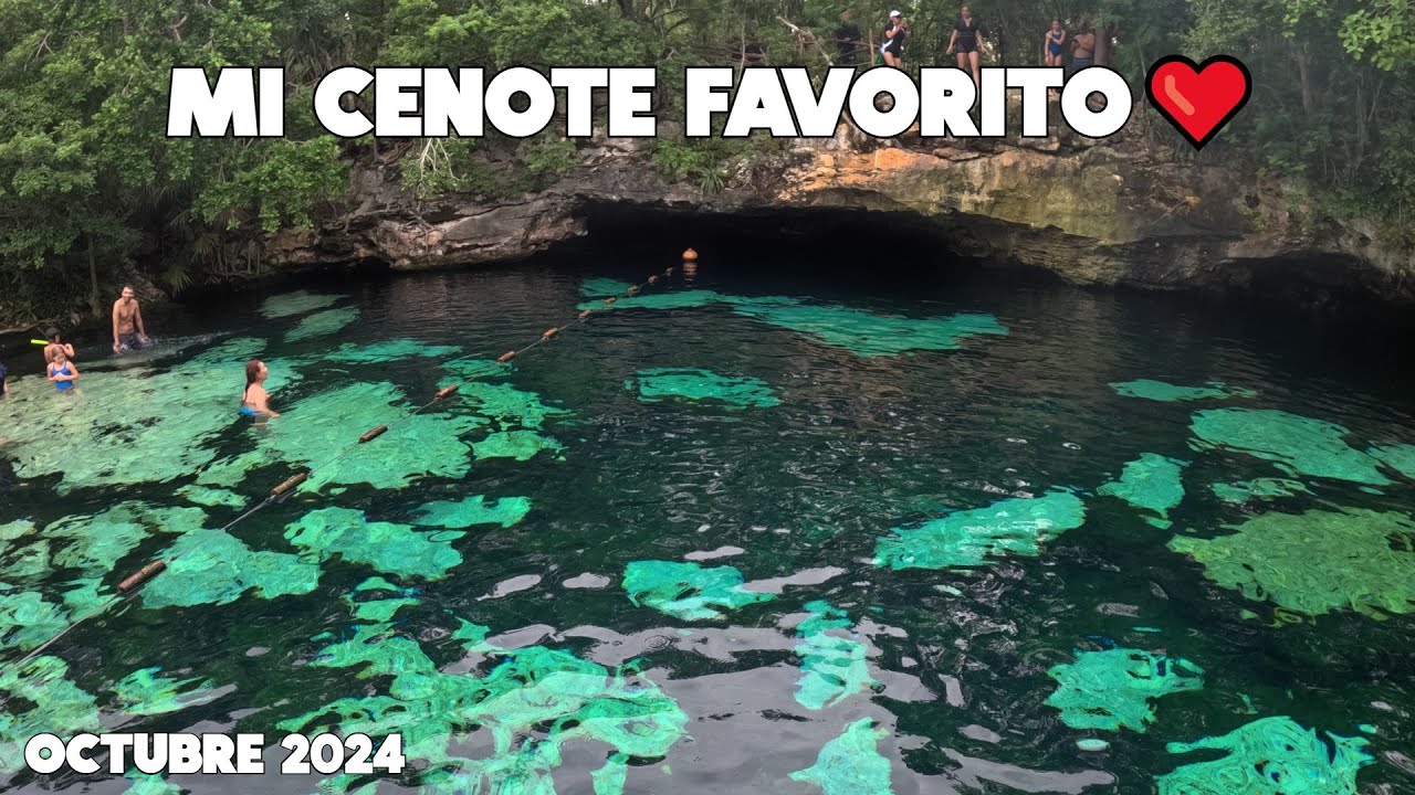 Playa Del Carmen Hoy🔴Cenote Azul Octubre 2024