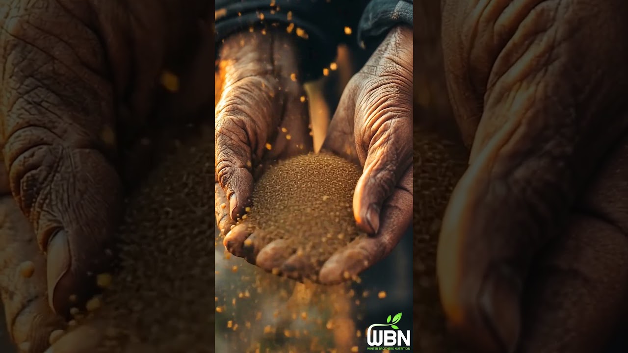 The DOMESTICATION of Plants (Episode 2/60)