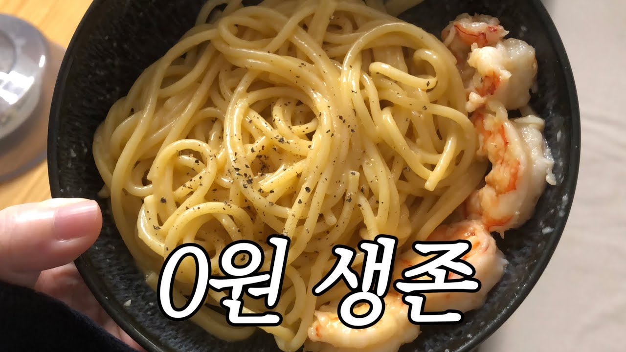 오늘도 집에만 있었어요,,(지출 0원) | 고도비만 백수 생존기  D+1