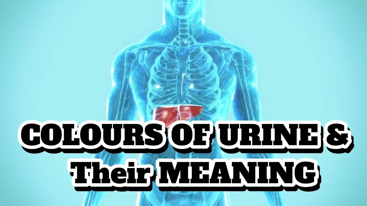 What the colour of your urine actually means .