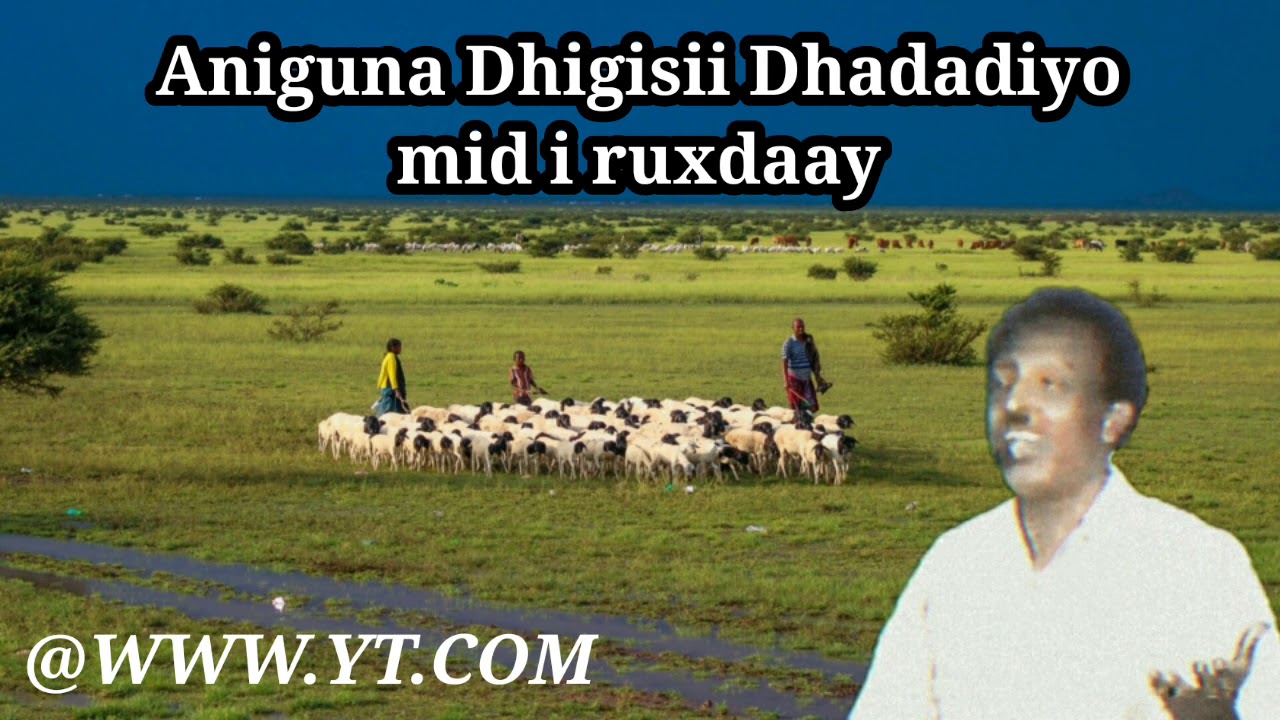 Maxamed Axmed Kuluc 🔥Iyo Heesta 