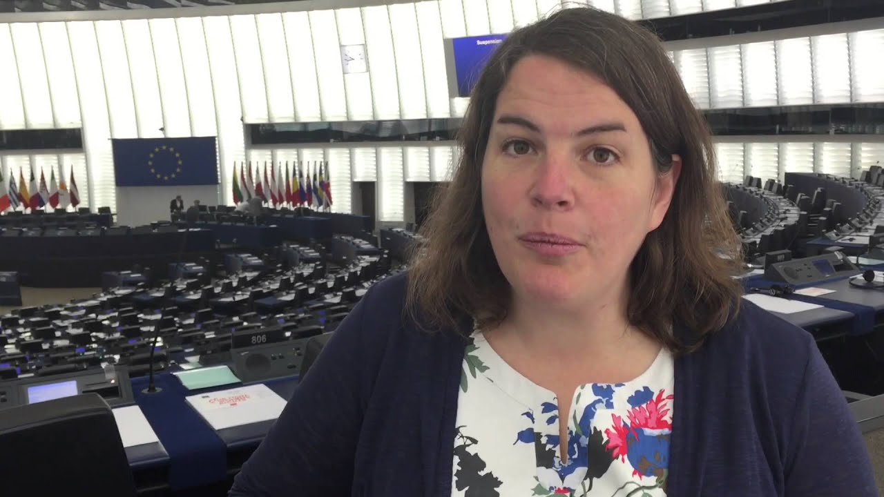 TTIP debate postponed due to divisions in Conservatives and Liberal groups