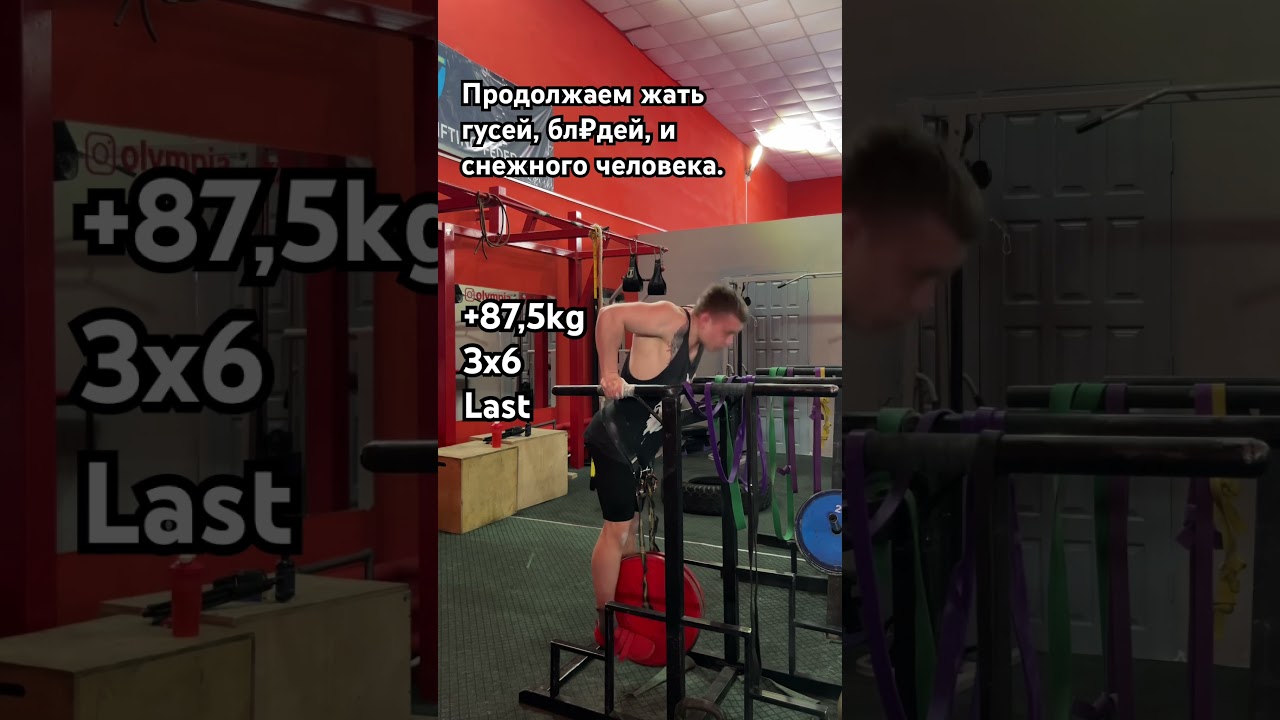 ТГК: PERSONA LIVE #osobovaznaypersona #streetlifting