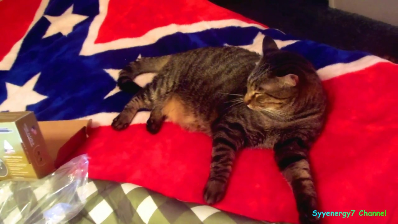 AR15 USA Collapsible Stock vs A1 Stock