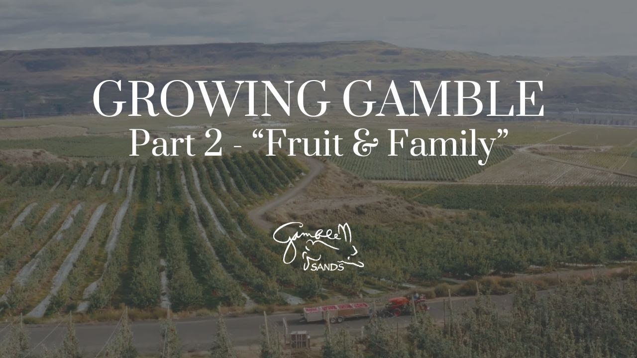 Growing Gamble - Part 2 