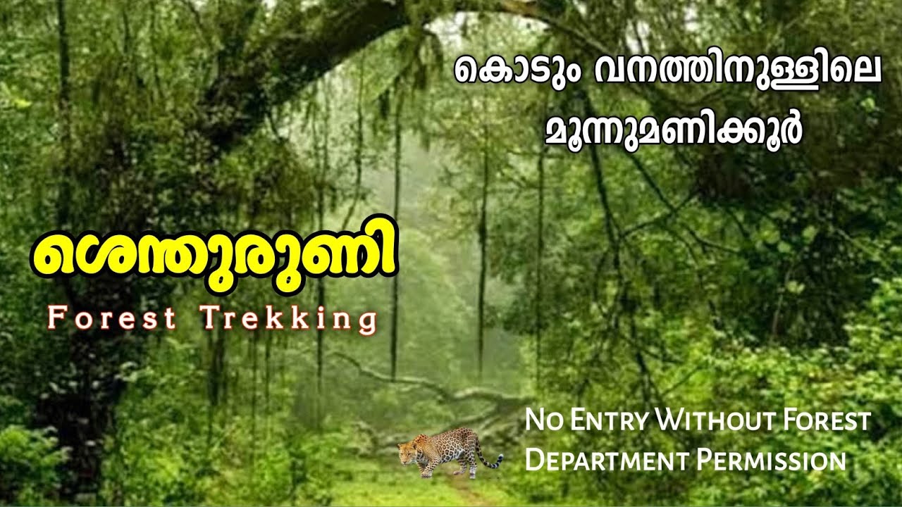 Shendurney Forest Trekking | Shendurney wildlife sanctuary | kollam.