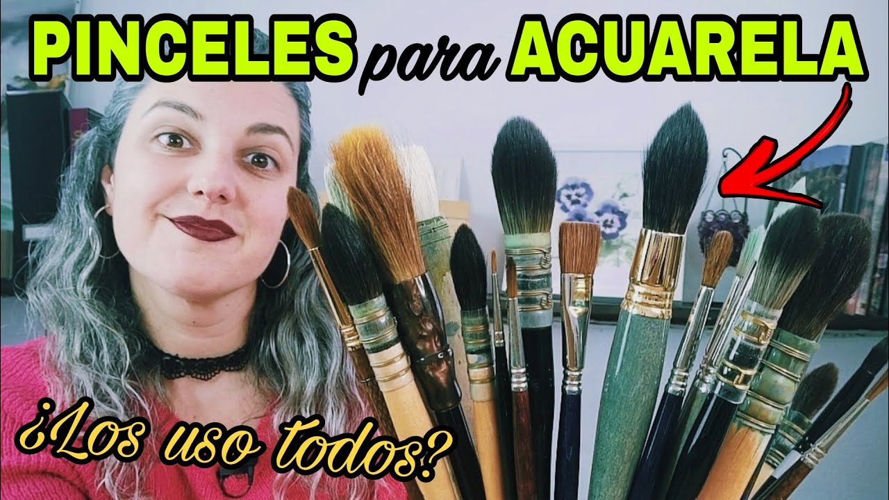 Todos mis PINCELES DE ACUARELA &iquest;Cu&aacute;les usar para principiantes?