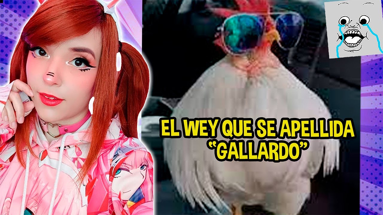 Motfrais Reacciona a MEMES RANDOM #480