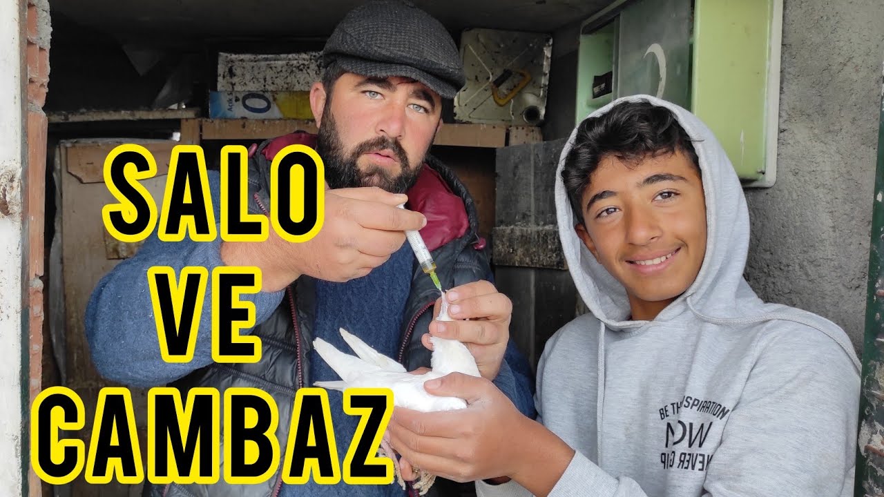 Salo Vs Cambaz Dönek Güvercin Uçuruyor