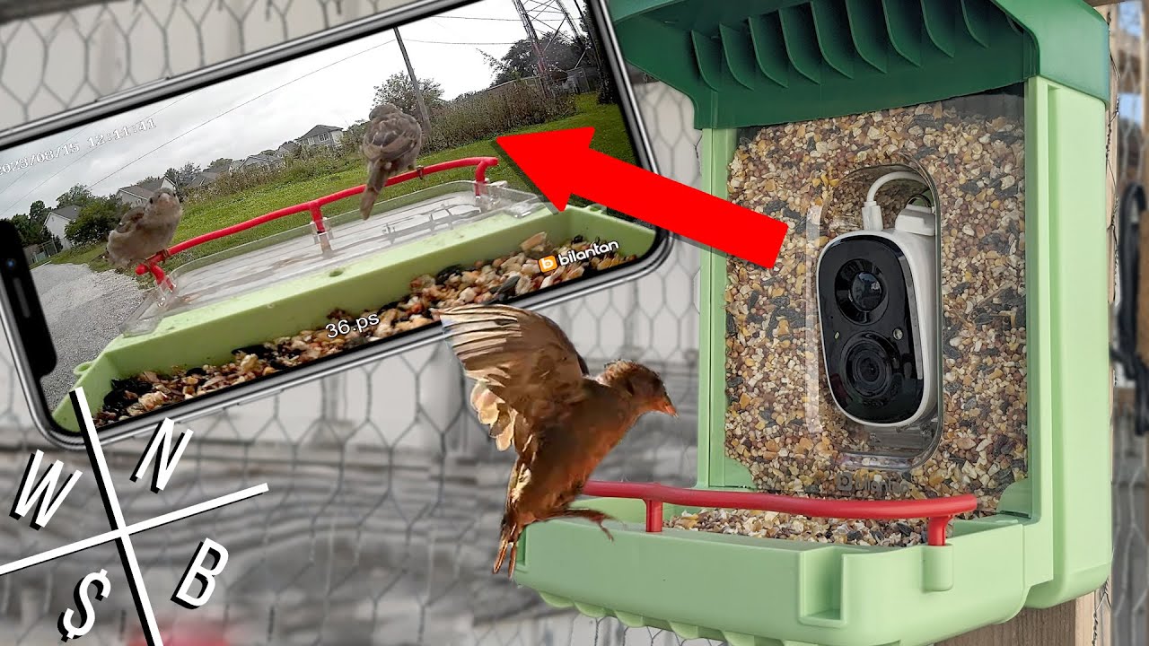 Smart Bird Feeder w/ Camera - Unboxing & Review