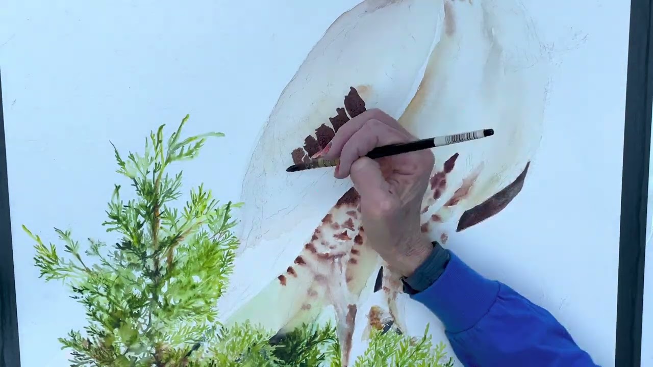 Painting a Red-Tailed Hawk with Watercolors