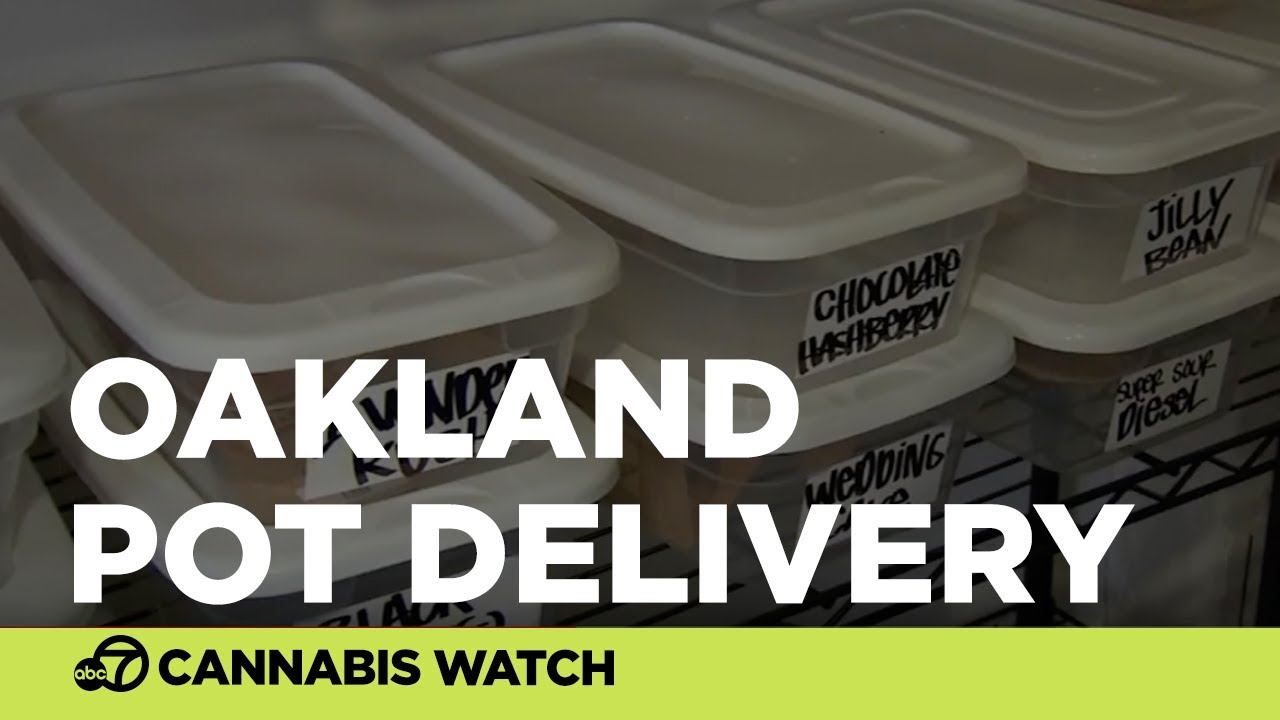 Oakland pot delivery company hopes to expand to recreational users
