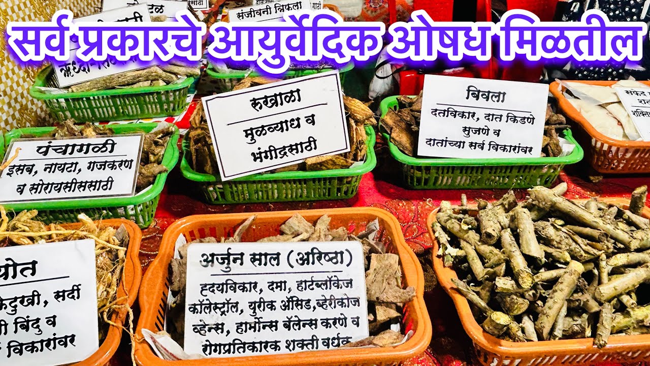 पूजा ताईकडे मिळतील सर्व प्रकारचे आयुर्वेदिक औषध | मोबाईल नंबर :- 9765268763