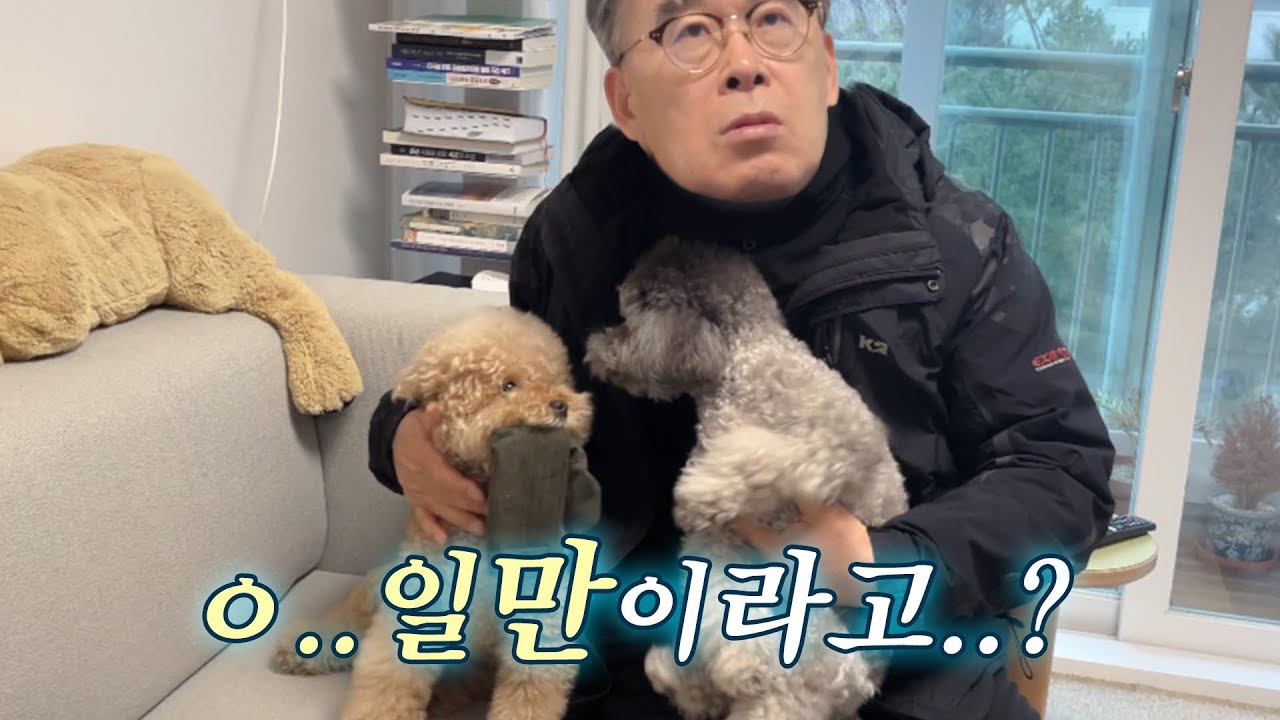 강아지 키우기 싫다던 아빠 구독자 1만 되자….