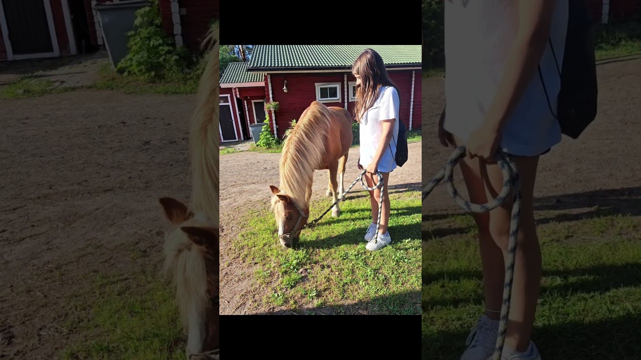k&auml;vin eilen Tallilla niin t&auml;s kuvia sielt&auml;💗