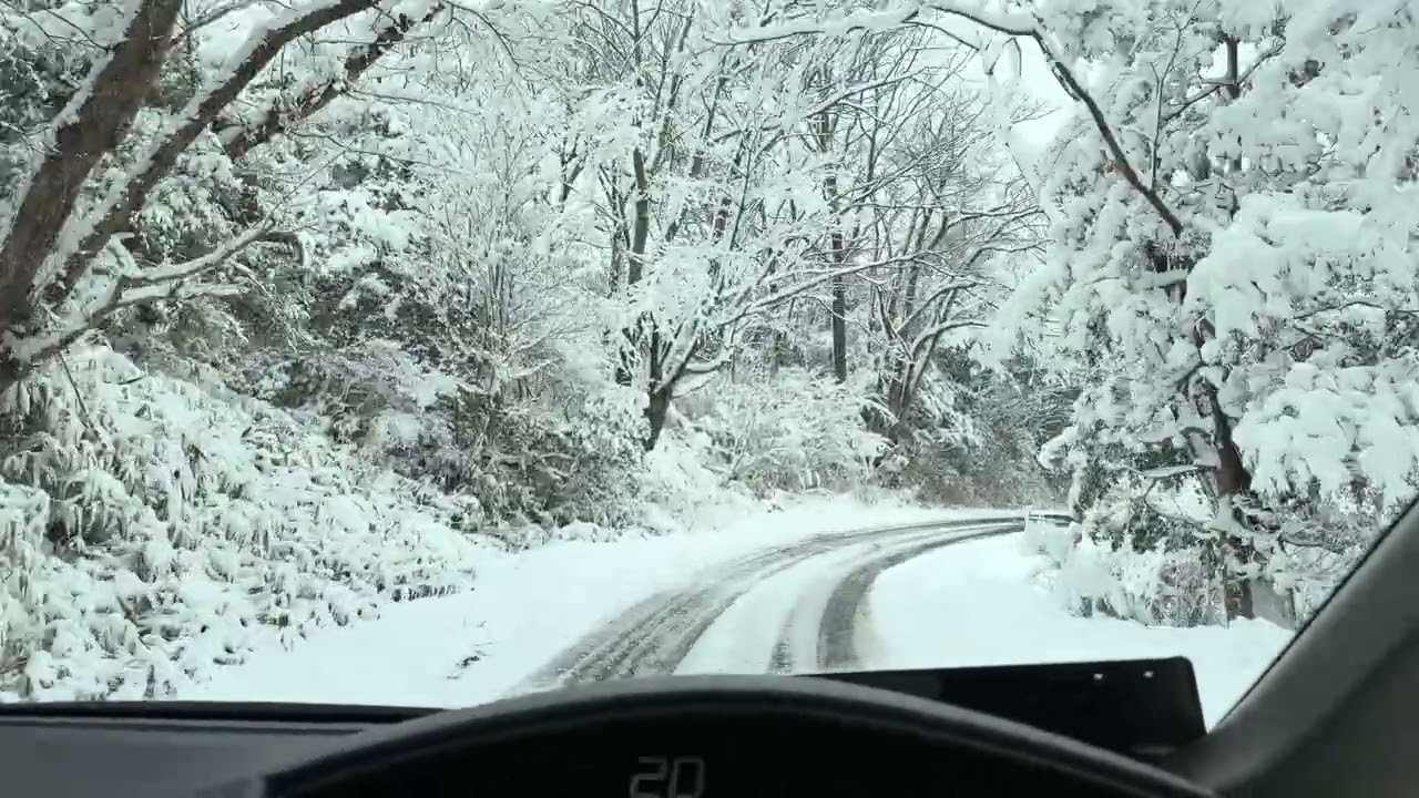 Morning drive around this surrounding. 