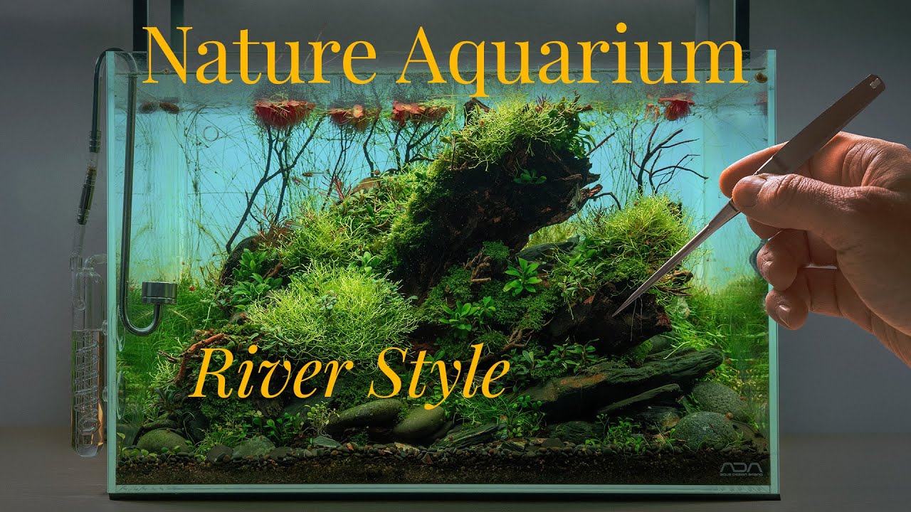 How to Build a Natural Planted Aquarium | Step-by-Step Aquascape