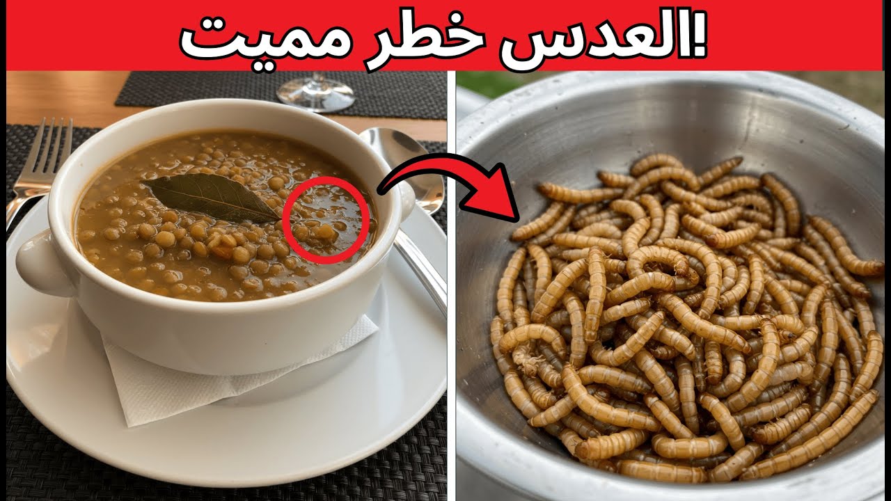 العدس: السم الصامت في طبقك. توقف عن أكله بهذه الطريقة فوراً!