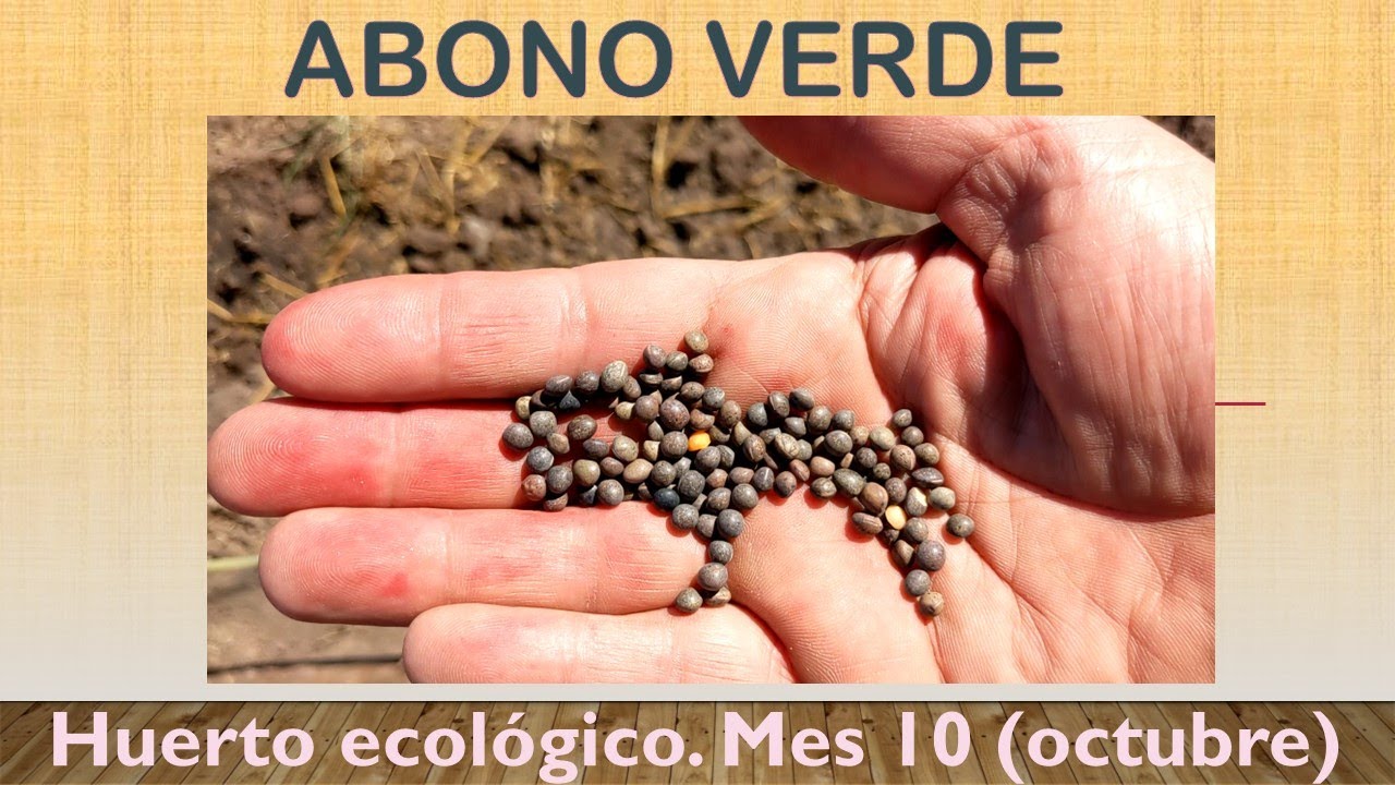 Abono verde. Huerto ecológico desde el principio