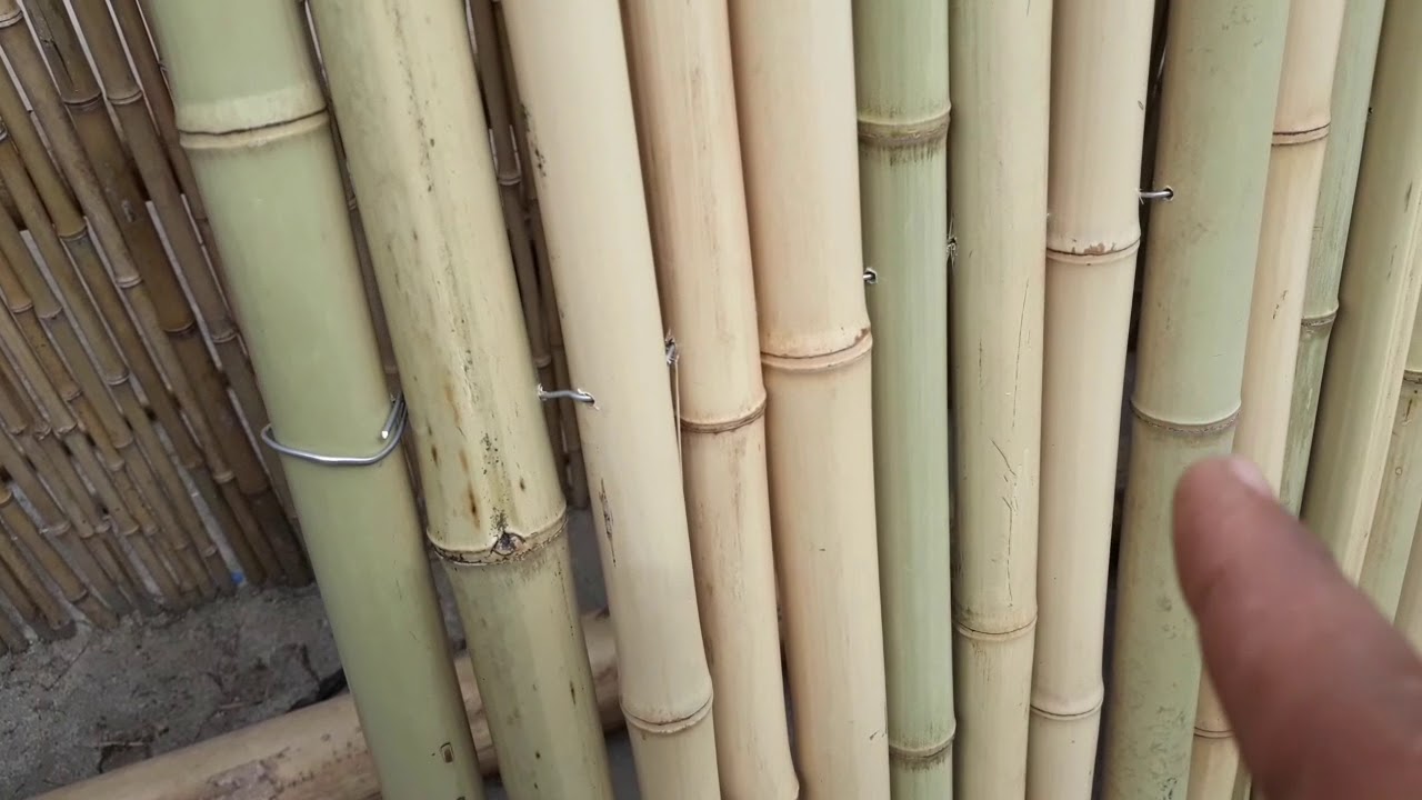 V&Iacute;DEO AULA COMO fazer um painel de bambu para diversos segmentos em decora&ccedil;&otilde;es.