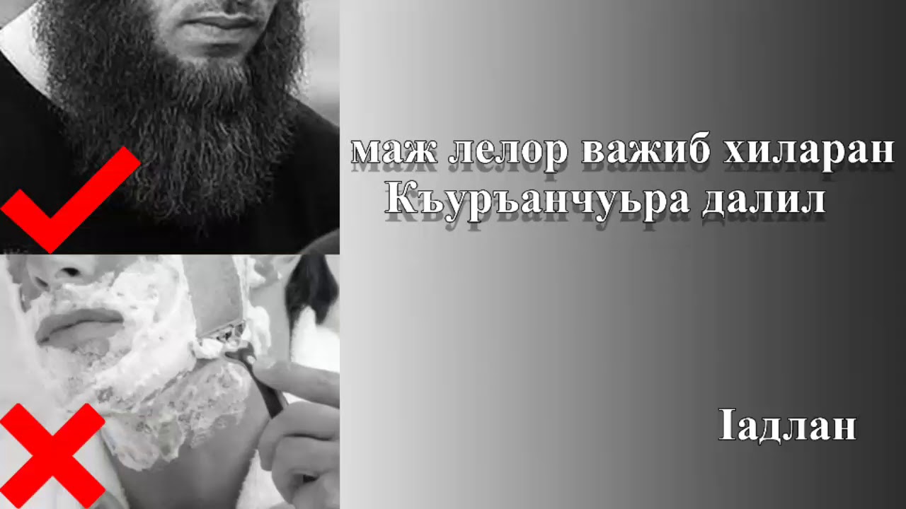 Iадлан: Маж лелор важиб хиларан Къуръанчуьра далил
