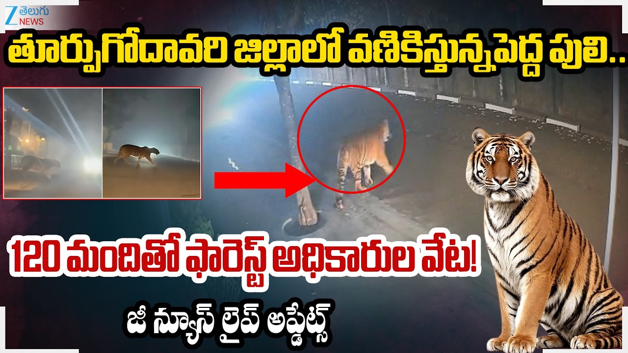 Rajahmundry Tiger Latest Updates | 120 Forest Officials on Duty.. Searching Operation Going On!! |