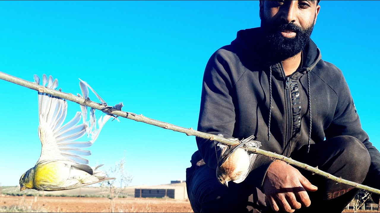 طريقة تحضير اللاصق (اللسقة) # صيد العصافير #نينو #سورا