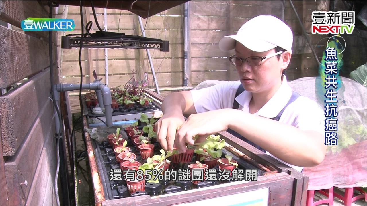 壹Walker-第66集 part1魚菜共生