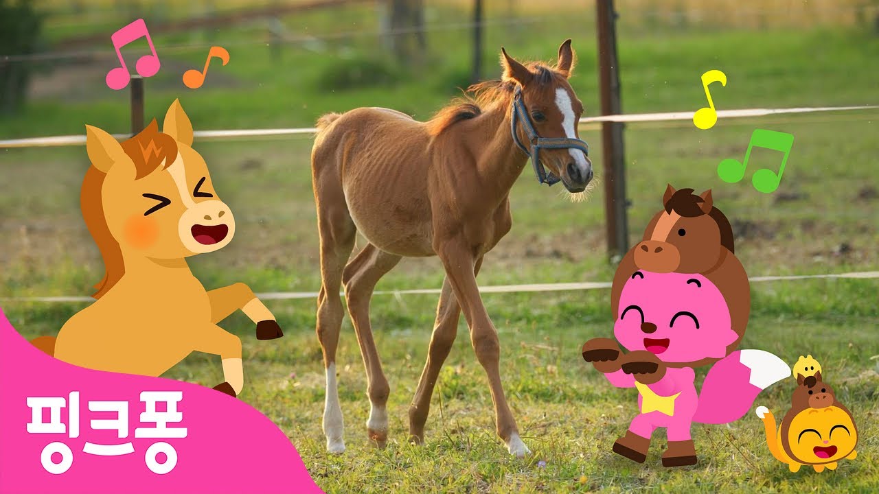 달려라 망아지 🐴 | 아기동물 동요 | 다그닥! 히잉~! 아기 말 나가신다! | 핑크퐁! 인기동요