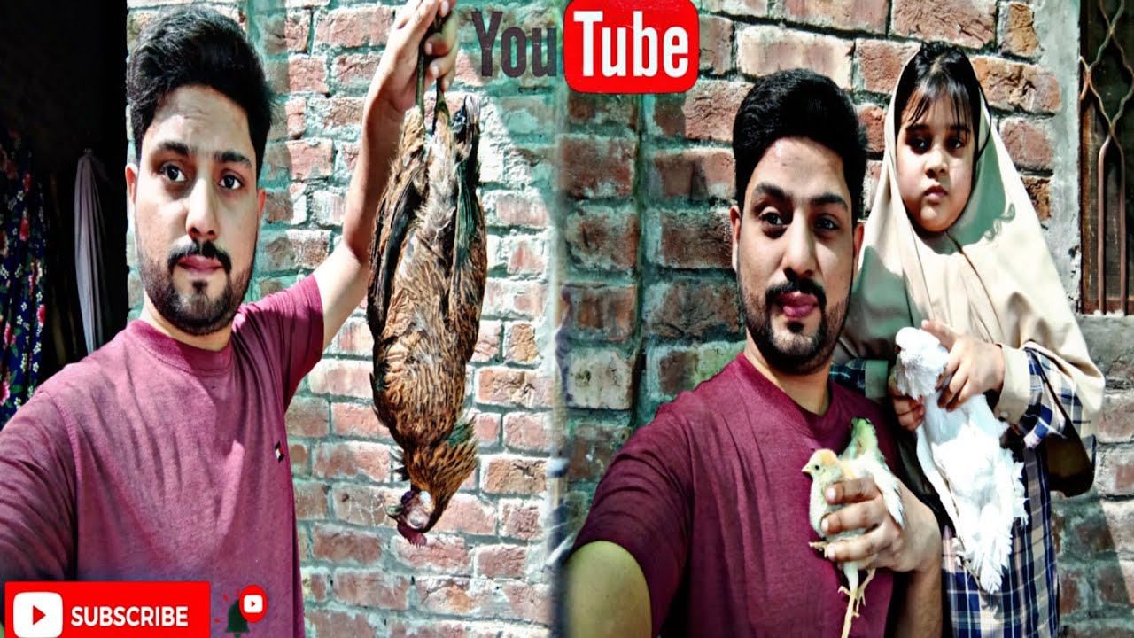 Humari Murgi Ko Yeah Kya Hou Gya Ooo No