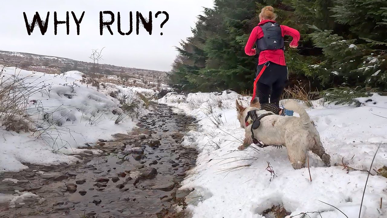 Want to enjoy every run? Be more dog.