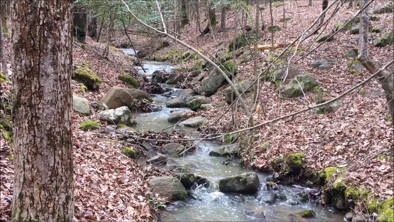 Episode 5 Falls Lake State Recreation Area