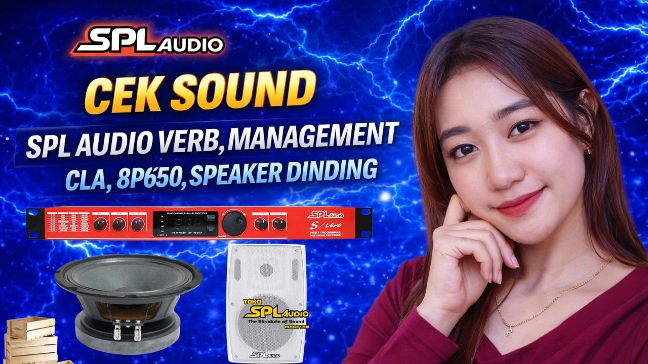 CEK SOUND DLMS 4800FIR-VERB SPL AUDIO-8P650-DRIVER DE402-8ND,DBX