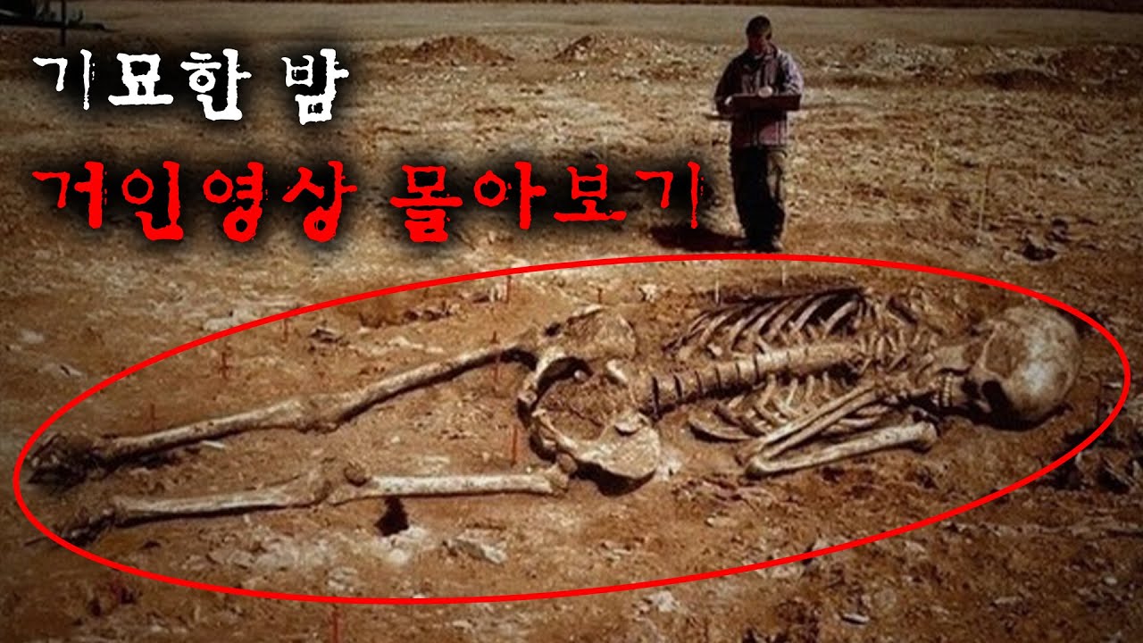 세계 곳곳에서 발견된 거인의 흔적들 | 8월의 몰아보기