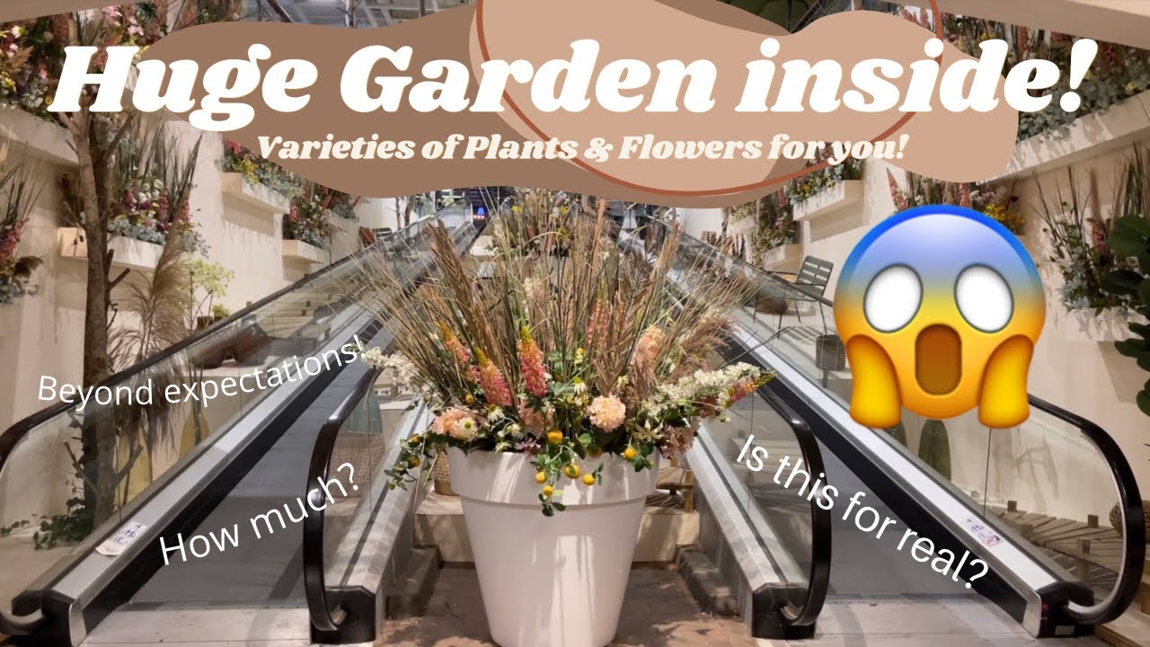 Aesthetic Garden Centrum where u can buy your plants! Intratuin Duiven | Plantita