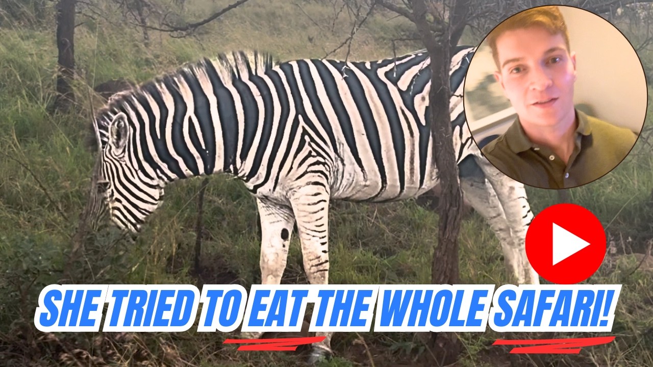 🚨WILD AFRICAN SAFARI GONE WRONG?!🦁🐘 | Final Stop of INSANE Cruise Vacation!🛳️🌍