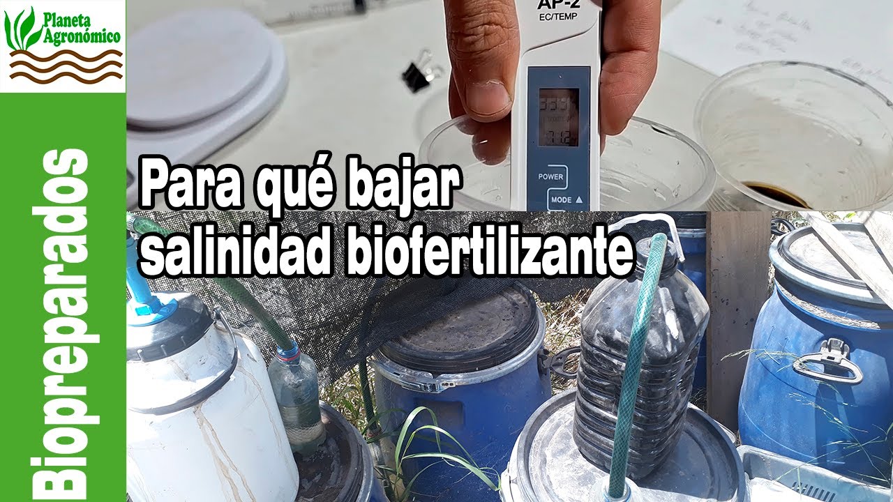 C&oacute;mo bajar la CONDUCTIVIDAD EL&Eacute;CTRICA A UN BIOFERTILIZANTE L&Iacute;QUIDO anaer&oacute;bico 🦠🦠