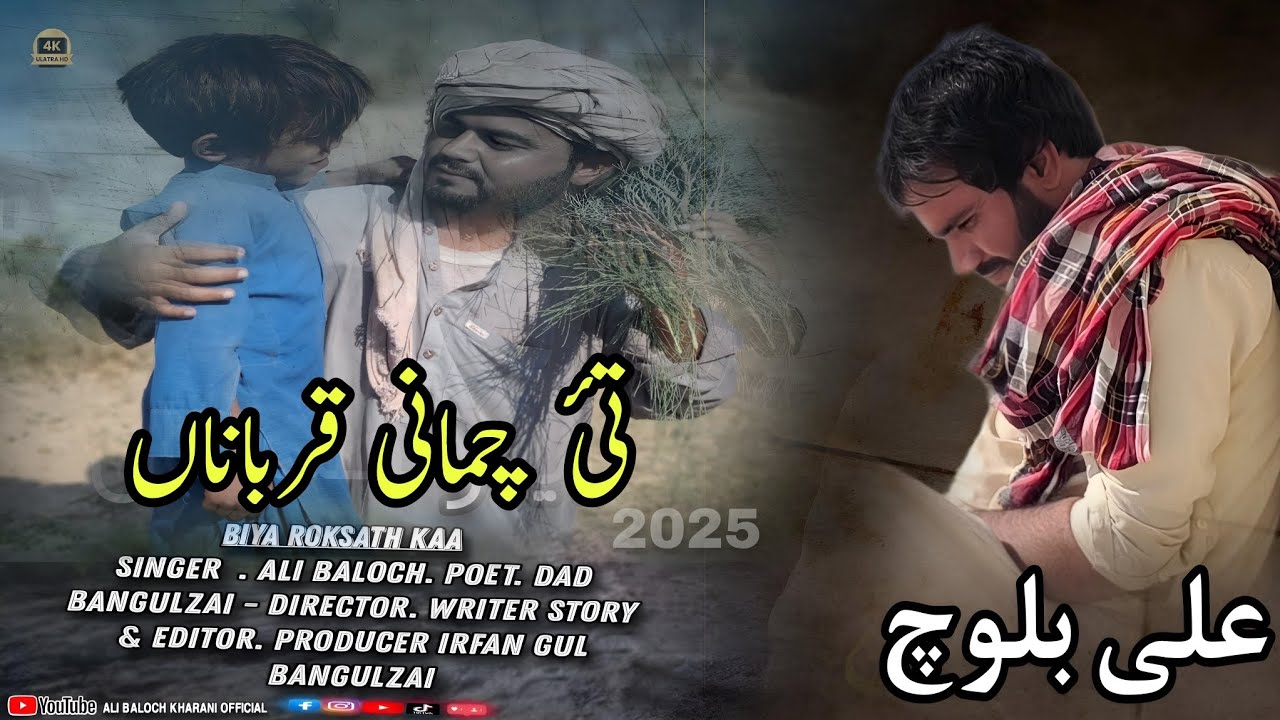 Tahi Chammani Qurbanaan mana doste mani saha  | Full Video Song 2025 | Ali Baloch Kharani