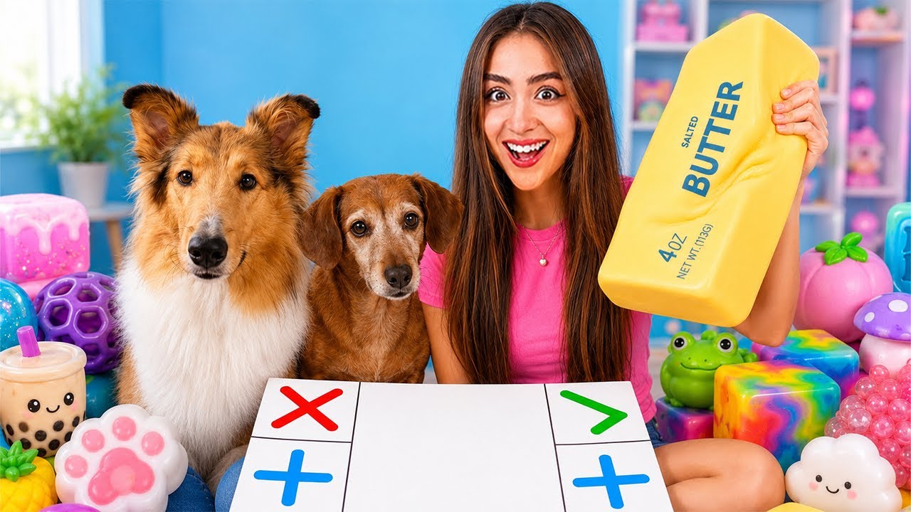 Squishy Trading Challenge with my PETS?!😱🐶