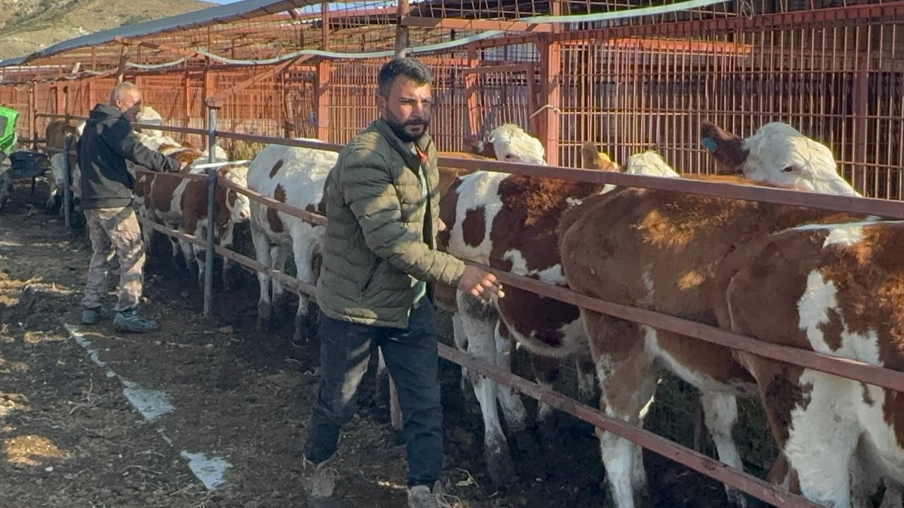 PARAZİT HAP UYGULAMASI