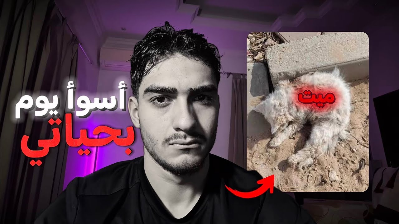 قصتي المؤلمة مع القطط .. 🐈 ( شفت جثته ) 