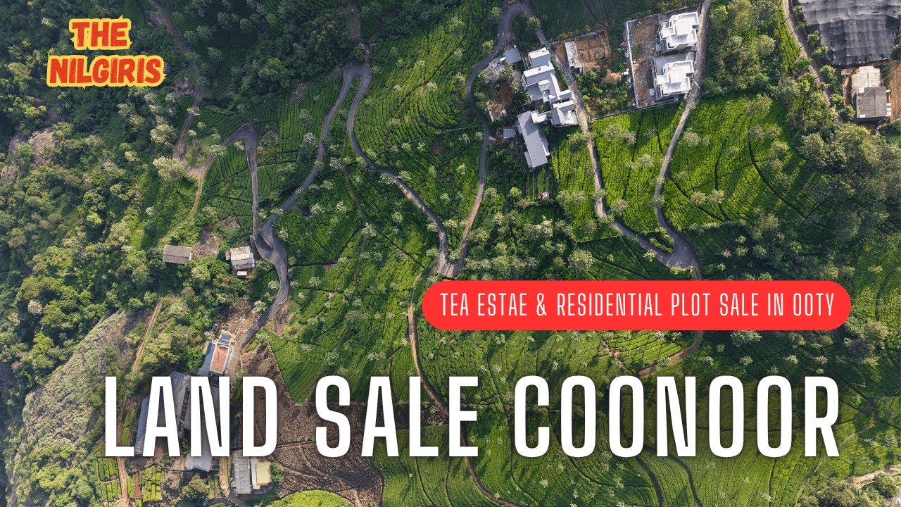 🌿 Tea Estate for Sale in Coonoor | Buy Land in Nilgiris| Tea Estate + Residential Plot for Sale Ooty