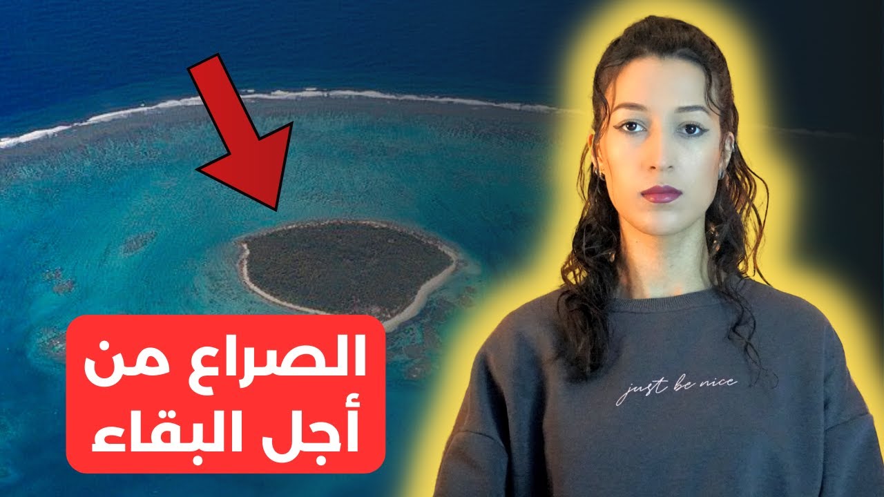 هربوا من المدرسة لعيش حياة أفضل لكن وجدوا أنفسهم لوحدهم في جزيرة مهجورة ‼️