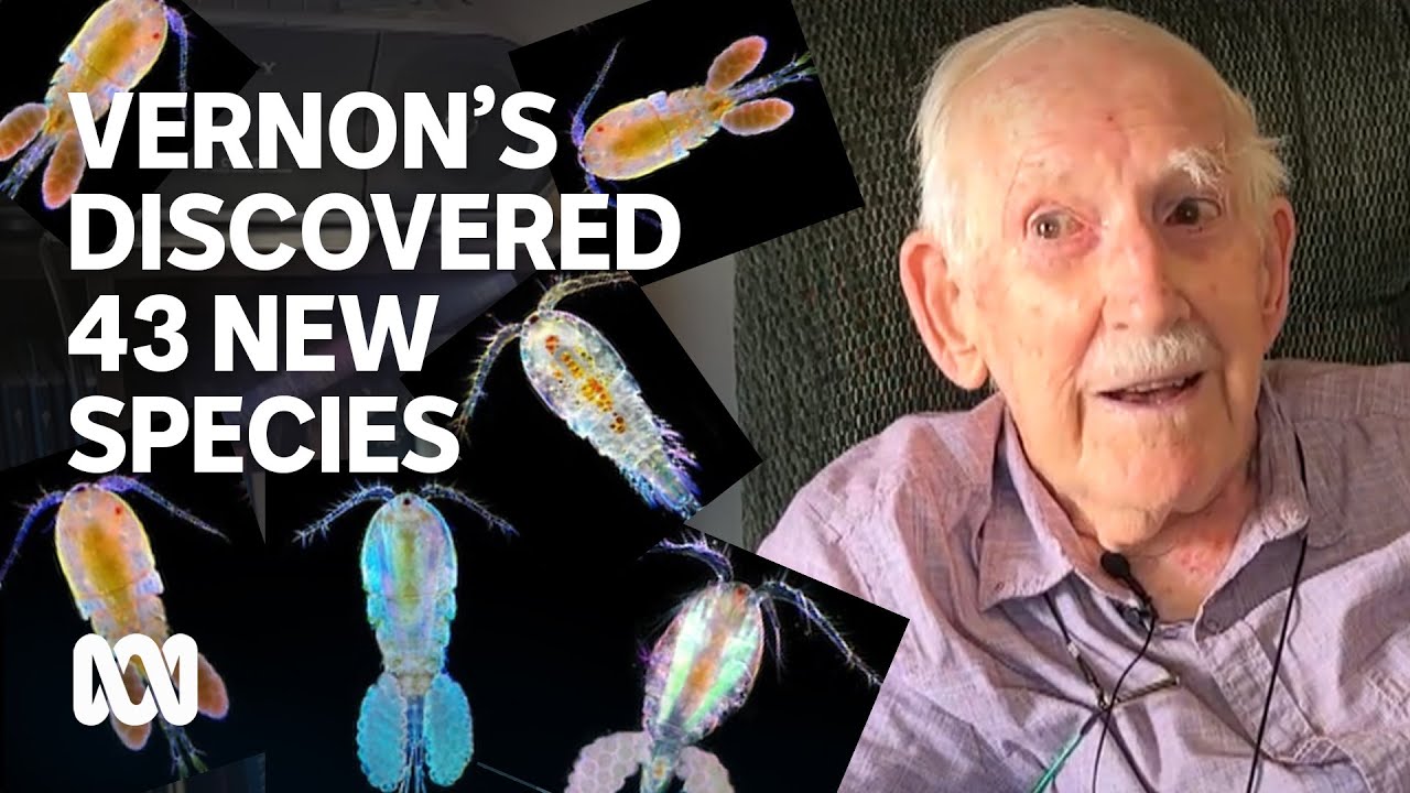 97-year-old zoologist discovers 43 new species of copepods. But what's a copepod?! | ABC Australia