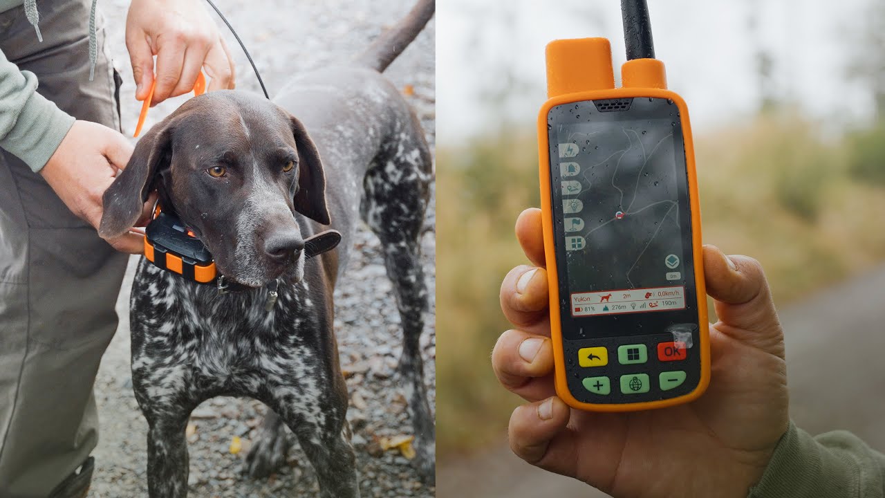 DRÜCKJAGD mit HUNDEN | Ortungssystem von ADURO | Hochsitz Akademie