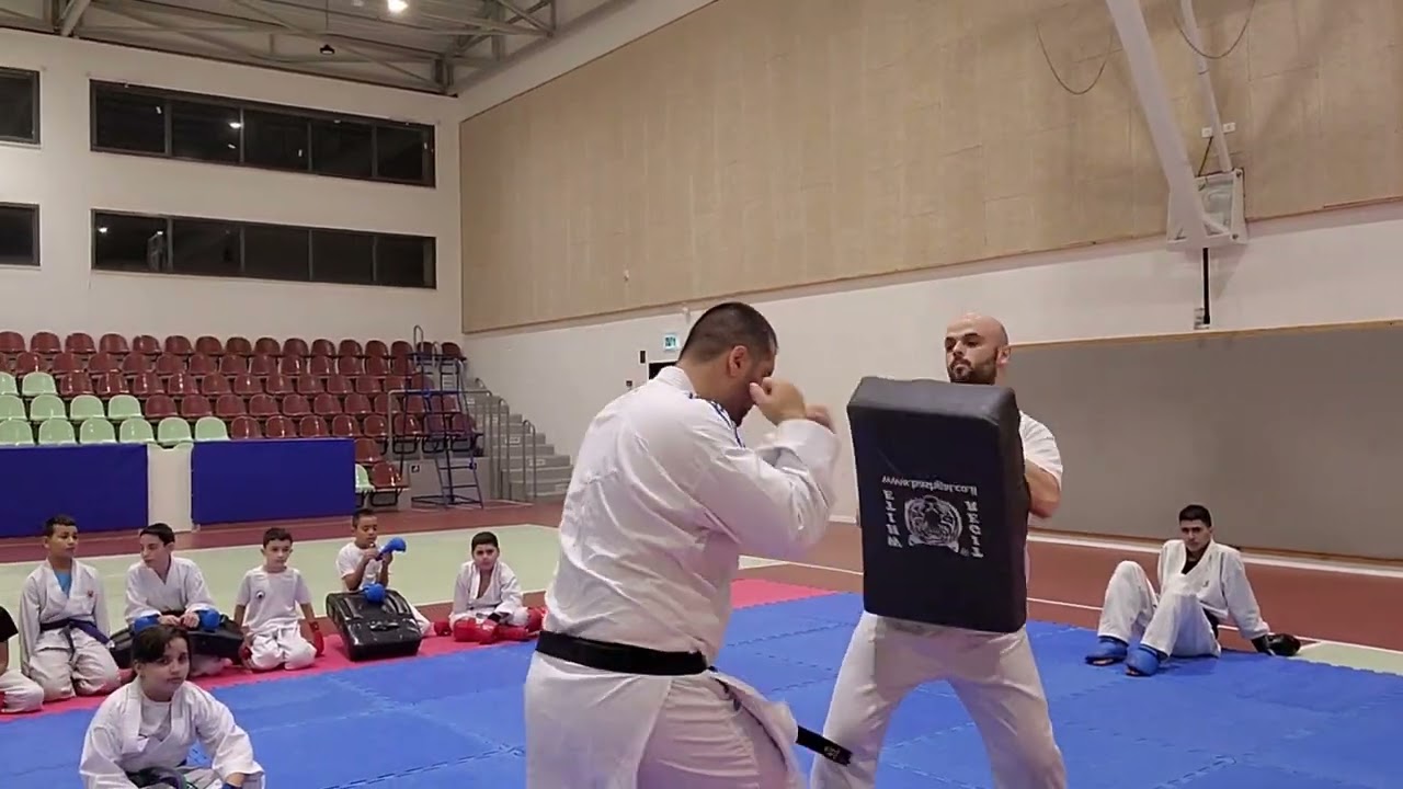 karate combat-street fighting