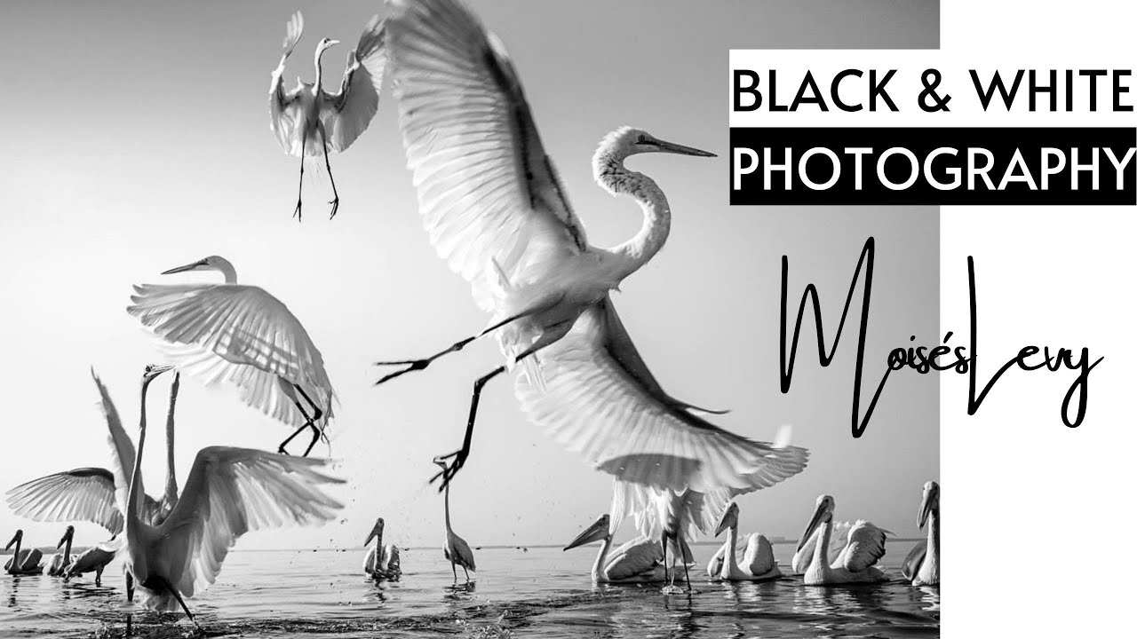 Black and White Photography - “Moisés Levy” | Featured Artist
