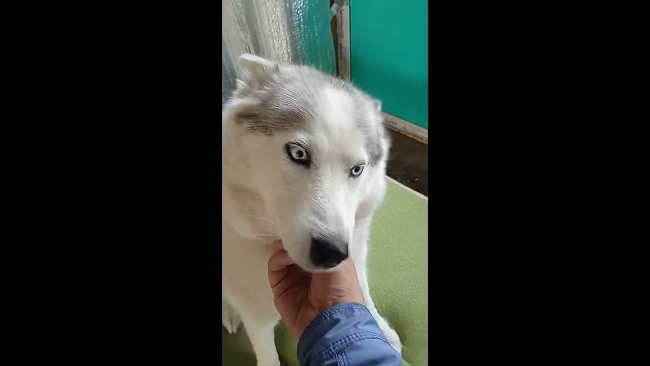 ПРО УСЛУГИ ОБСЛУЖИВАНИЯ ГАЗОВОГО ОБОРУДОВАНИЯ Ч.1