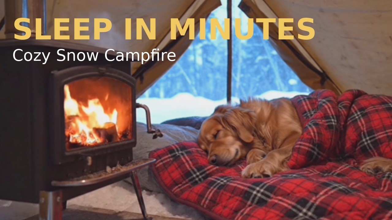DEEP SLEEP IN MINUTES ❄️ Snowy Forest Campfire & 🐦Bird Sounds