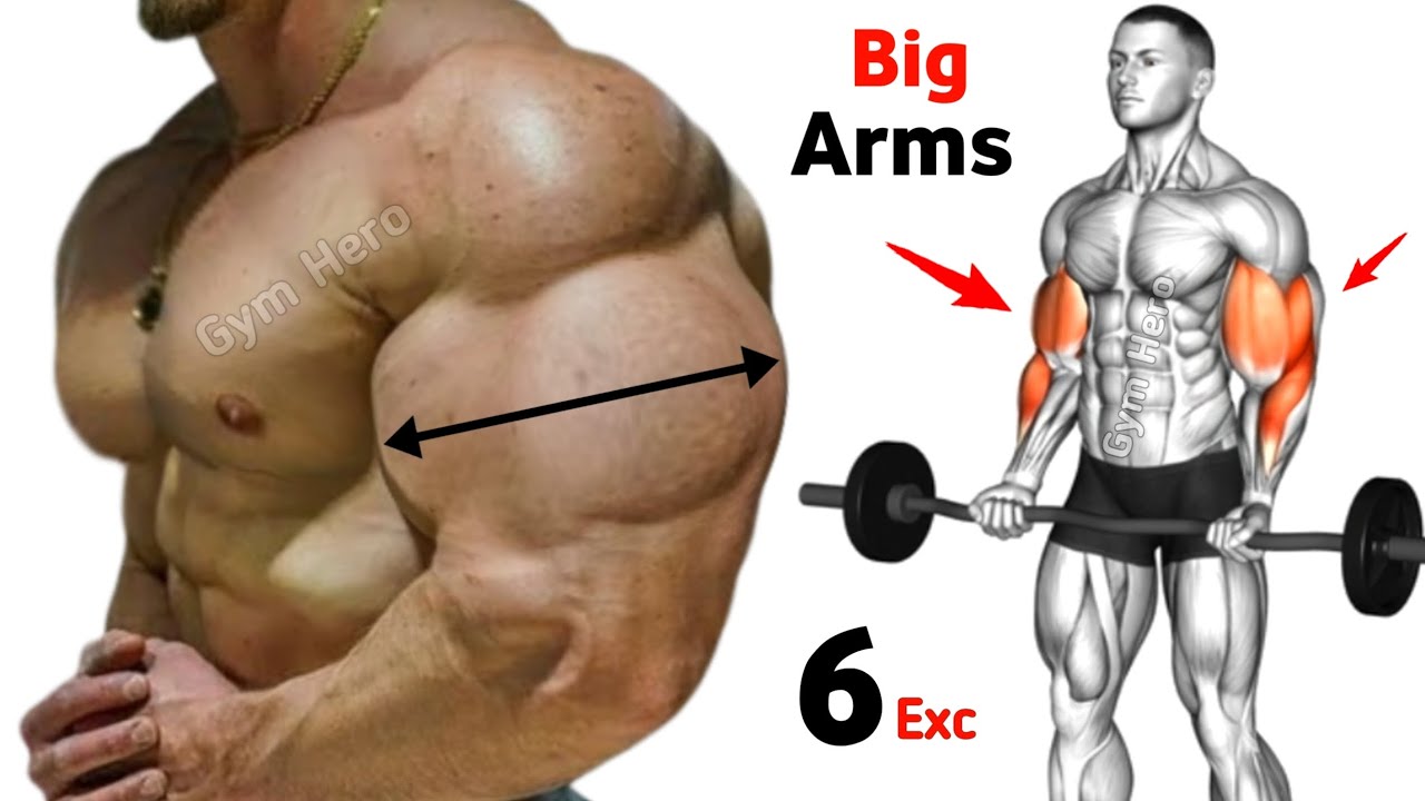 6 Arm Exercises for Massive Biceps & Triceps Growth